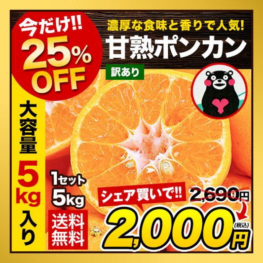 【販売解禁】訳あり 甘熟 ポンカン 5kg 送料無料  甘い みかん ぽんかん デコポン の生みの親 箱買い みかん 柑橘 旬の果物 くまもと風土 熊本県産 みかん【最安値に挑戦】2月上旬-2月末頃より発送予定