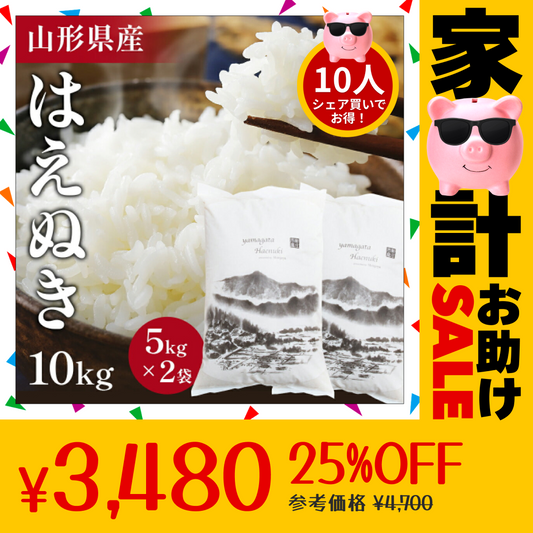 【10人シェア買いでお得】10キロ 山形県産 令和4年度 新米 はえぬき【家計お助けセール】