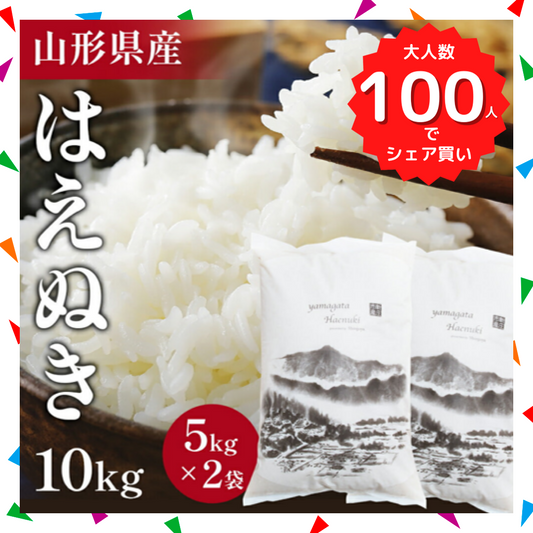 【ブラックフライデー大人数シェア買い】令和4年産 新米 はえぬき 10kg 特A金賞 お米 コメ 精米 山形県産 送料無料