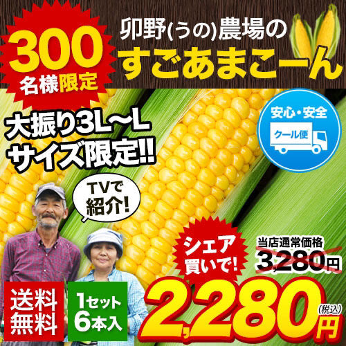 とうもろこし 卯野農場 すごあまこーん 6本入り【3L~Lサイズ / 約1.8kg-2.4kg前後】コーン トウモロコシ 朝採り スイートコーン お中元
