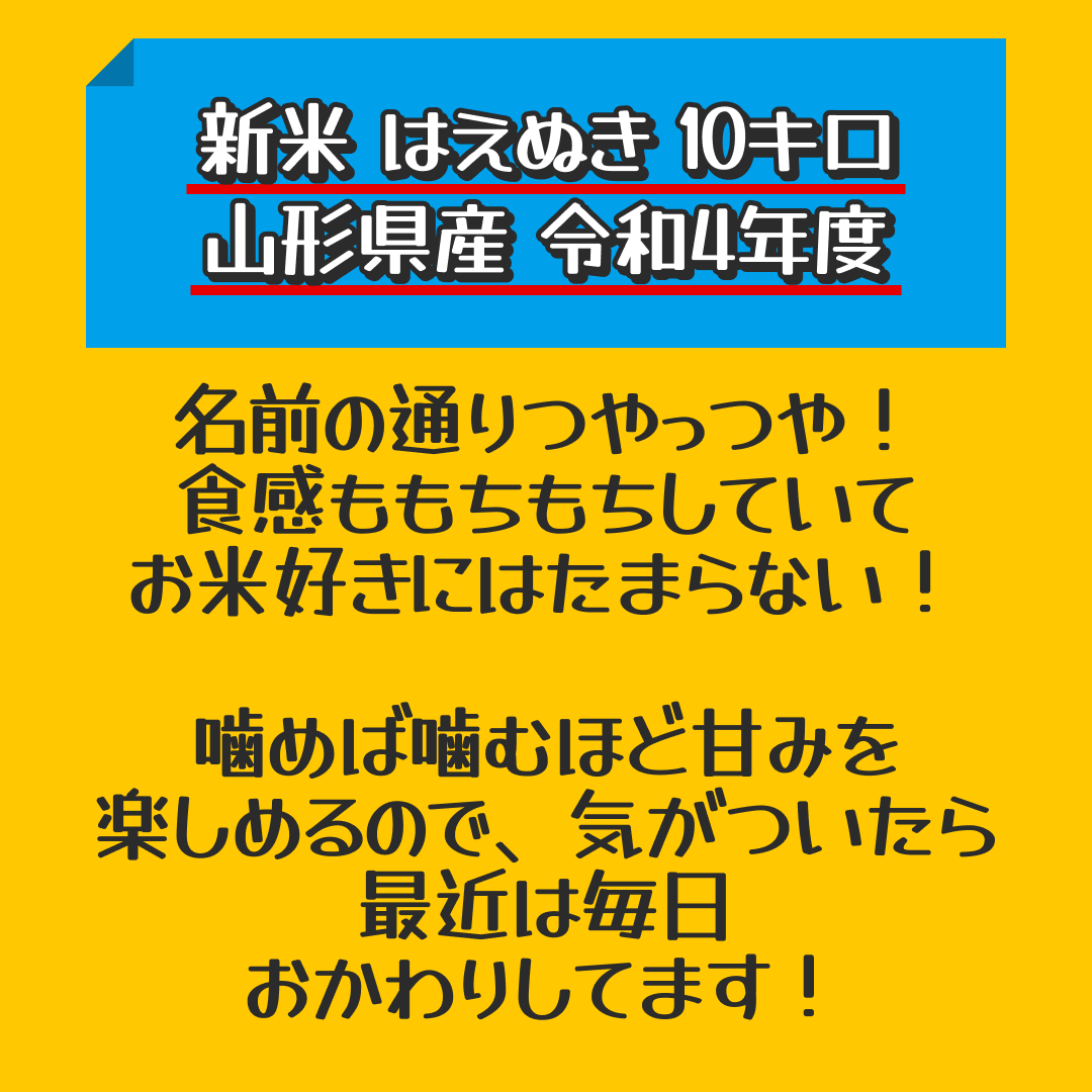 【10人シェア買いでお得】10キロ 山形県産 令和4年度 新米 はえぬき【家計お助けセール】