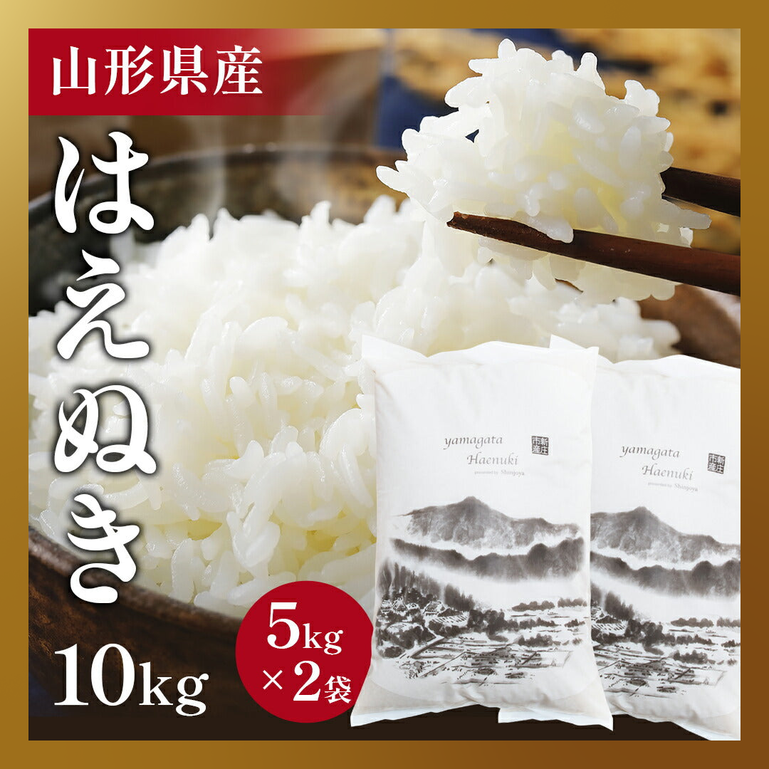 【ベストコレクション】はえぬき 10kg 山形県産 令和3年度 特A金賞