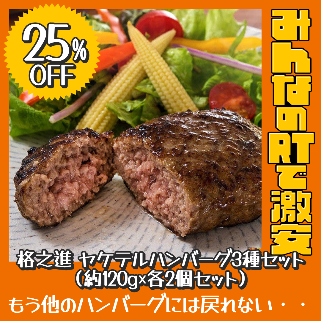 格之進 ヤケテルハンバーグ3種セット（約120g×各2個セット）