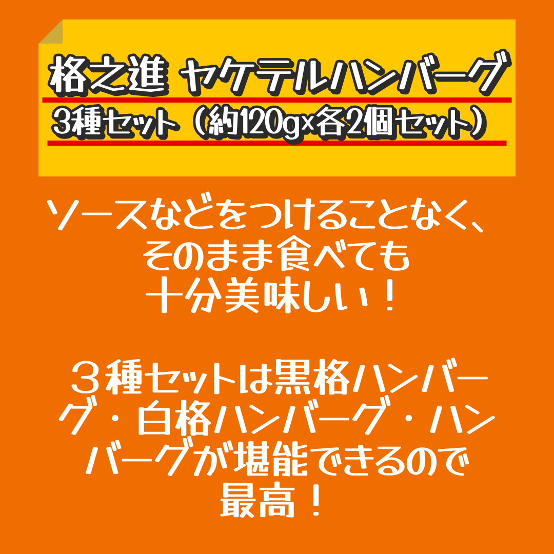格之進 ヤケテルハンバーグ3種セット（約120g×各2個セット）