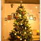 クリスマスツリー 180ｃｍ 北欧 おしゃれ 180 Abies 飾り ドイツトウヒツリー ヌードツリー オシャレ 高級クリスマスツリー クラッシックタイプ