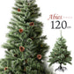 クリスマスツリー 120ｃｍ 北欧 おしゃれ 120 Abies 飾り ドイツトウヒツリー ヌードツリー オシャレ 高級クリスマスツリー クラッシックタイプ