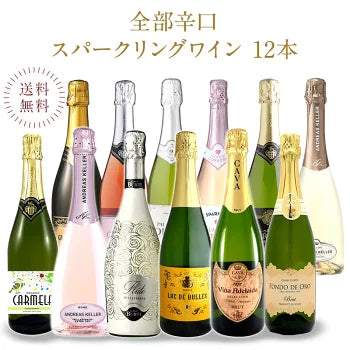 厳選 金賞入り 高品質 全部 辛口 スパークリング ワイン 12本 飲み比べ セット ［常温］ 【送料無料】 [W][S] 泡 イタリア スペイン シャンパン製法 瓶内二次発酵 カヴァ スプマンテ オーガニック 入り ギフト おすすめ 飲み比べ【エコ得】