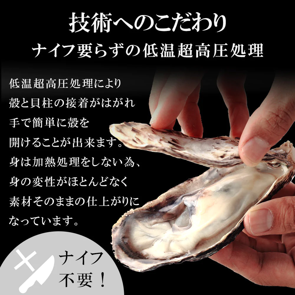 生食用殻付き牡蠣　12個入り