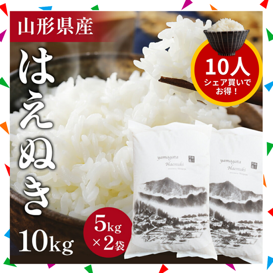 【10人シェア買いでお得】10キロ 山形県産 令和4年度 新米 はえぬき