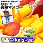 【カウシェうまいもん市場】マンゴー 沖縄 完熟マンゴー 良品 1kg 2～3玉 糖度14度選果 今帰仁村 産地直送 あけのフルーツ アップルマンゴー アーウィン種 常温便 同梱不可 指定日不可