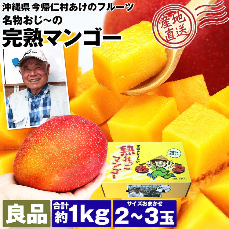 【カウシェうまいもん市場】マンゴー 沖縄 完熟マンゴー 良品 1kg 2～3玉 糖度14度選果 今帰仁村 産地直送 あけのフルーツ アップルマンゴー アーウィン種 常温便 同梱不可 指定日不可