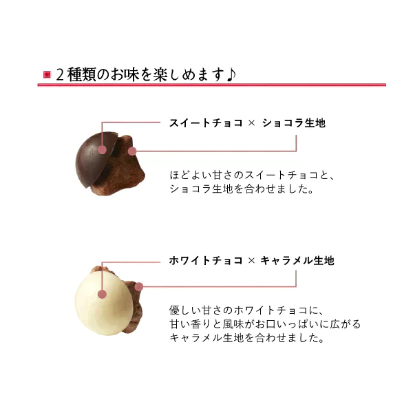 【半額sale 賞味期限4/26】チョココロ【エコ得】
