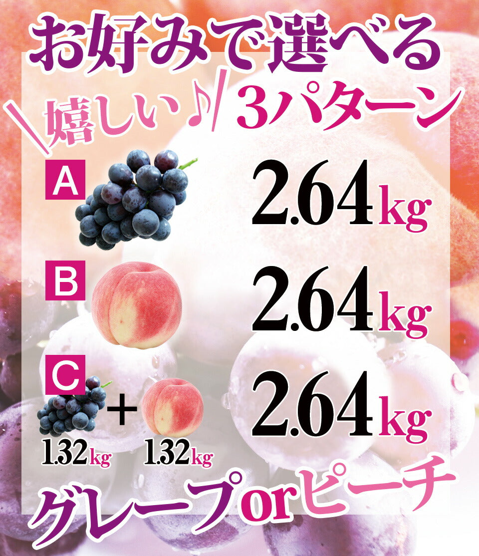 【こんにゃくスティックゼリー グレープ味　ピーチ味　2.64kg】こんにゃくゼリー ぶどう　桃　蒟蒻 ゼリー