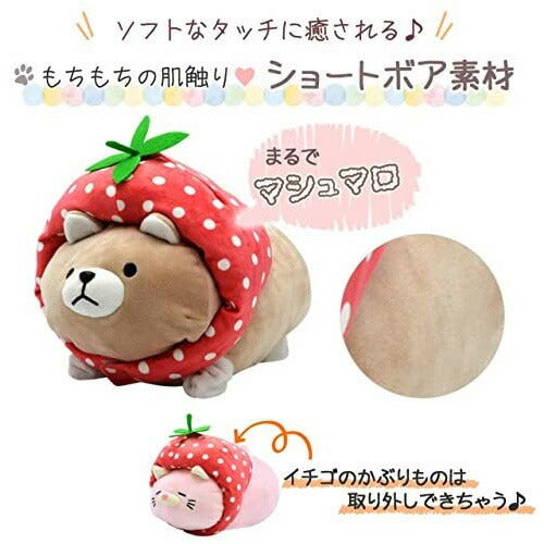 【送料無料】のびるよ きせかえにゃもち! きせかえにゃもベリー 3種セット