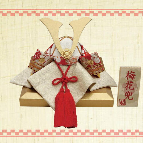 【送料無料】【限定1点のみ】リュウコドウ 龍虎堂 金襴 梅花兜 002-0534
