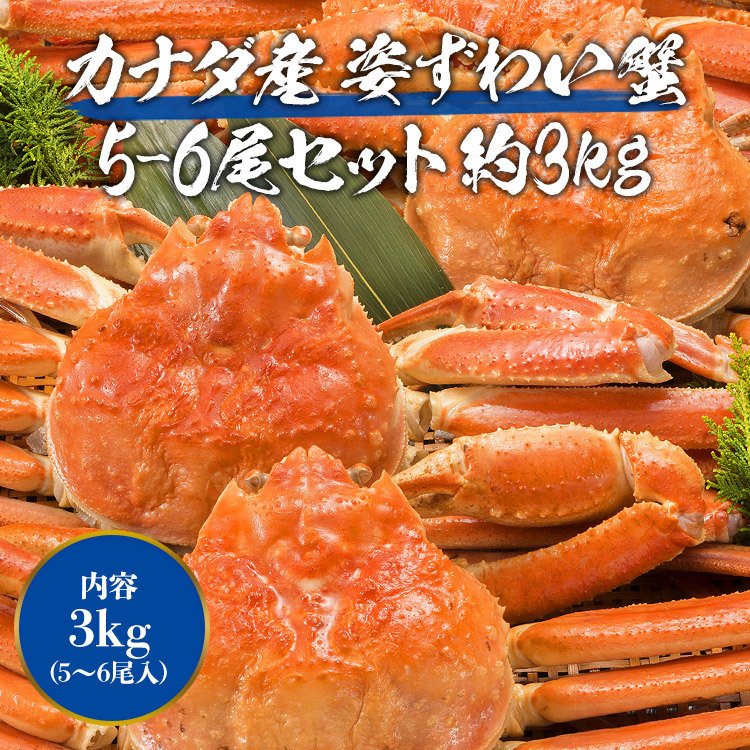 【50人でシェア買いでお得】かに 蟹 姿ずわいがに 3kg セット (5〜6尾) 送料無料 冷凍便 かにみそ ズワイガニ カニ