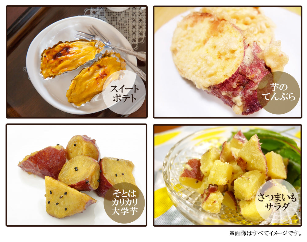 【最安値挑戦祭】安納芋 さつまいも 5kg 送料無料 産地直送 産直 土付き さつま芋 薩摩芋 焼きいも 焼き芋 石焼き芋 芋 いも イモ 鹿児島県産 ngs-006