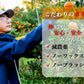 訳あり春かんきつお楽しみ箱5kg(3～4種類の春かんきつ詰め合せ)【家計お助けSALE】