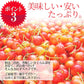【6月下旬発送】 さくらんぼ 1kg お徳用 佐藤錦 or 紅秀峰 他 山形県産 バラ詰めお一人様2箱まで 家庭用 数量限定 産地直送 訳あり サイズ混合 送料無料 ※遠方へは別途送料がかかります 品種の指定はできません 果物 大特価【エコ得SALE】