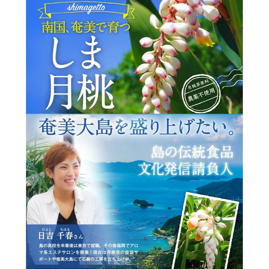 さくらの森【公式】 月桃茶 げっとうちゃ ゲットウチャ ノンカフェイン ティーバッグ カロリー0 しま月桃 無農薬 防腐剤不使用 リラックス　美肌