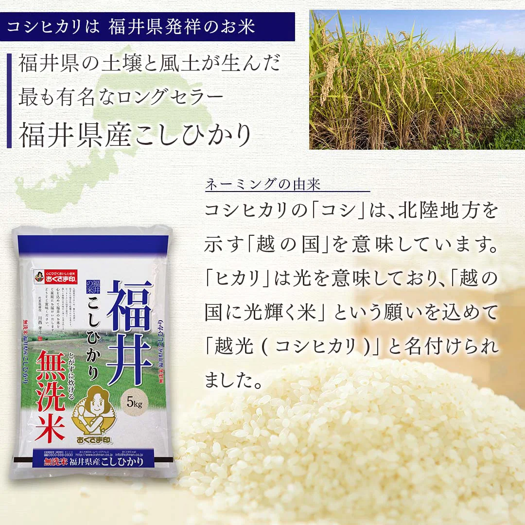 無洗米 米 福井県産 こしひかり 5kg 令和5年産 新米 お米 白米 おくさま印 国産 食品 ギフト 引っ越し 挨拶 出産 内祝い 母の日 父の日 お中元 お歳暮 結婚 快気 還暦 香典返し 寒中 暑中見舞い お年賀 送料無料