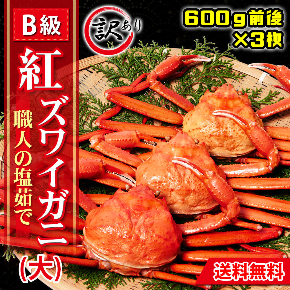 【蟹（かに　カニ）専門店】【境港直送】職人の塩茹で紅ズワイガニ（大）【訳アリ】【600ｇ前後×3枚】
