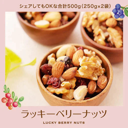 【超得ハイパーSALE】500g 2種のベリー入りミックスナッツ『ラッキーベリーナッツ 』 (250g×2)無塩 ナッツ くるみ カシューナッツ アーモンド クランベリー ワイルドブルーベリー 送料無料