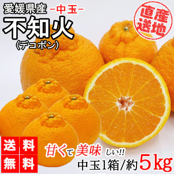不知火 (デコポン) 5kg 中玉 送料無料 ご家庭用 箱買い みかん 柑橘 フルーツ 果物 産地直送 愛媛県産 YDF-010