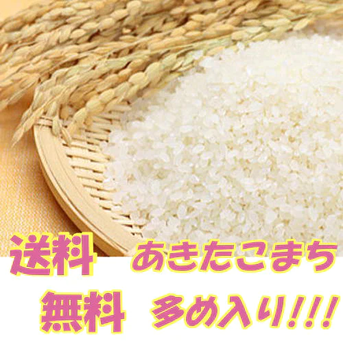 【超得ハイパーSALE】2022年産　あきたこまち入り中粒白米 無洗米 10kg