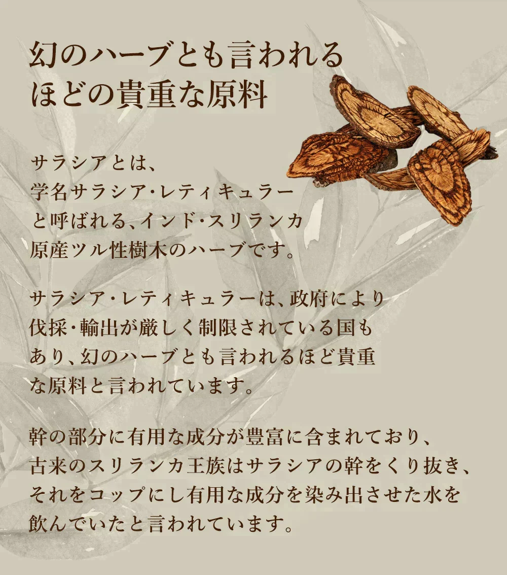 【100人シェア買いでお得】サラシアサプリ《約3ヶ月分》 送料無料 健康 サプリメント サプリ ダイエット サラシア  糖分 炭水化物【超得ハイパーSALE】