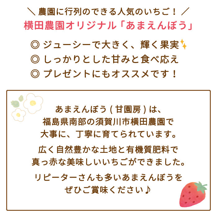 福島県産 いちご「甘園房～あまえんぼう」DX－02 1箱 3L  (16粒入り×2パック)通常便*