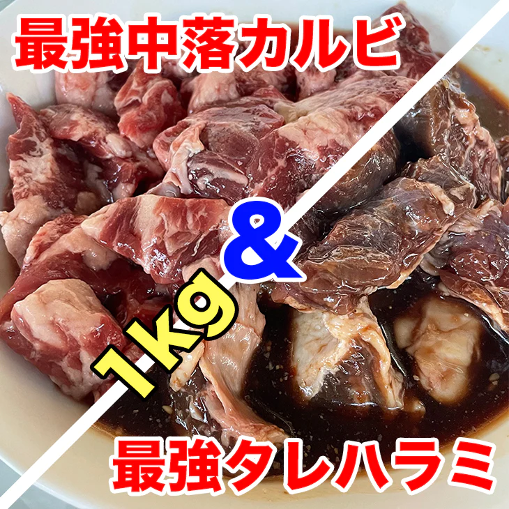 牛肉の焼肉セット 1kg たれ付ハラミと中落ちカルビの最強セット 1000g バーベキュー BBQ カルビ丼 牛肉 お肉 冷凍