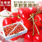 【6月下旬発送】 さくらんぼ 佐藤錦 秀品 L玉 1kg 山形県産を産地直送！ 化粧箱入 お中元 ギフト お中元 ギフト 贈答品として人気です 送料無料 内祝い