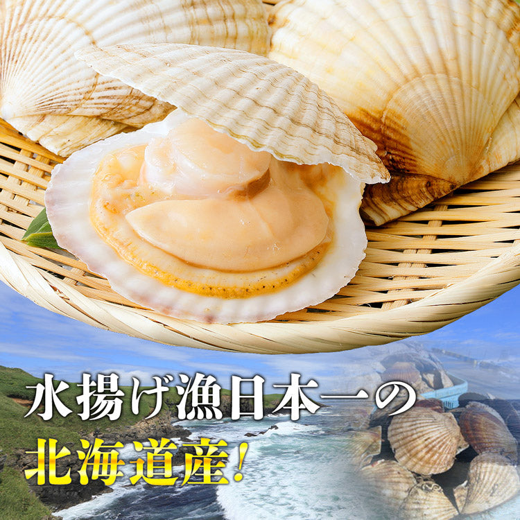 【30人シェア買いで20%OFF】ボイルホタテ デカ玉 2Lサイズ 1kg 帆立 ほたて 冷凍便 お取り寄せグルメ 食品 ギフト