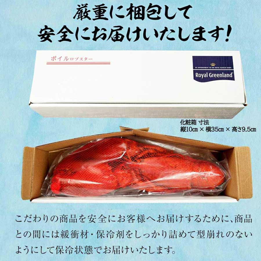 ロブスター オマール海老 ボイル 550g エビ BBQ バーベキュー 贈り物