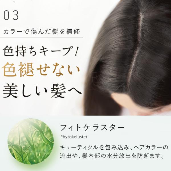 さくらの森【公式】 送料無料 ハーバニエンス シャンプー ＆ コンディショナー ジャスミン ベルガモット 美容室 サロン フレグランスシャンプー いい 香り 低刺激 ボトル ハーブガーデン オーガニック ノンシリコン アミノ酸シャンプー くせ毛 頭皮ケア アミノ酸 ボタニカル