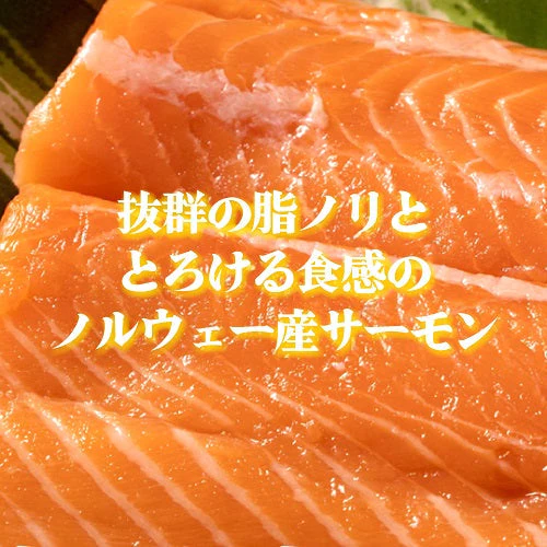 ノルウェーサーモン どどーーんと1kg！ たっぷり 国内加工 沼津市 お祝い ギフト 真空 冷凍 サーモン 皮つき ふるさと 返礼品 お得 特大 刺身 寿司 生食可 お買い得 お得