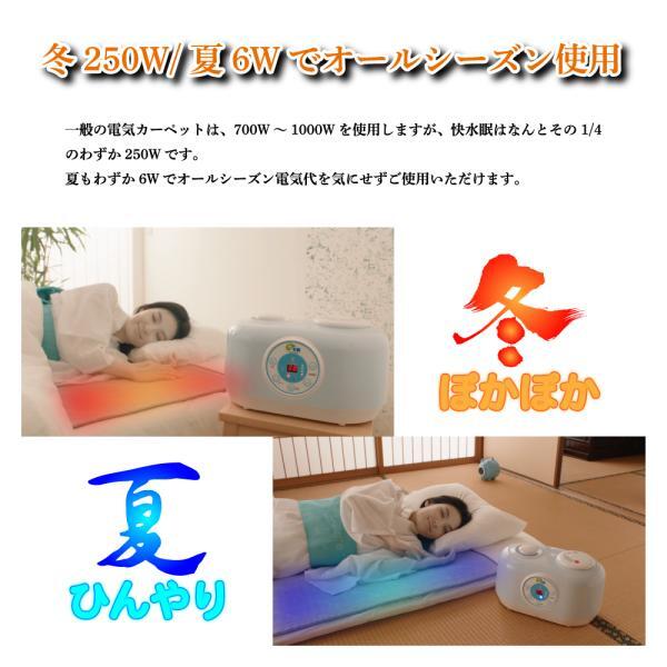 【温活／眠活】光熱費削減・節電・省エネ｜敷く湯たんぽ｜敷くヒーター｜快水眠シングル