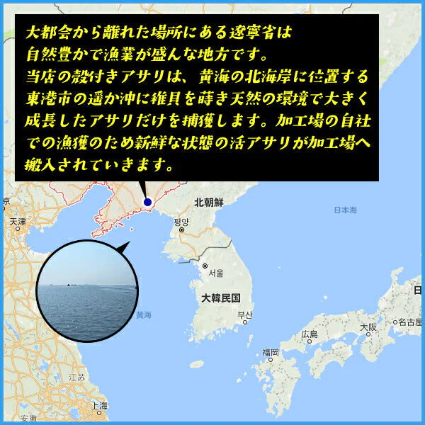 【送料無料】天然 殻付きアサリの旨味ボイル どっさり1kg 冷凍食品 あさり 貝 かい カイ 浅利 お中元【家計お助けSALE】