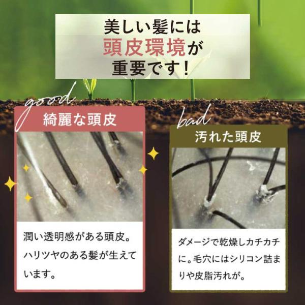 さくらの森【公式】 送料無料 ハーバニエンス シャンプー  グリーンローズ ノンシリコン アミノ酸 頭皮ケア 美容室専売 無添加 アミノ酸 ボタニカル くせ毛 低刺激 美容室