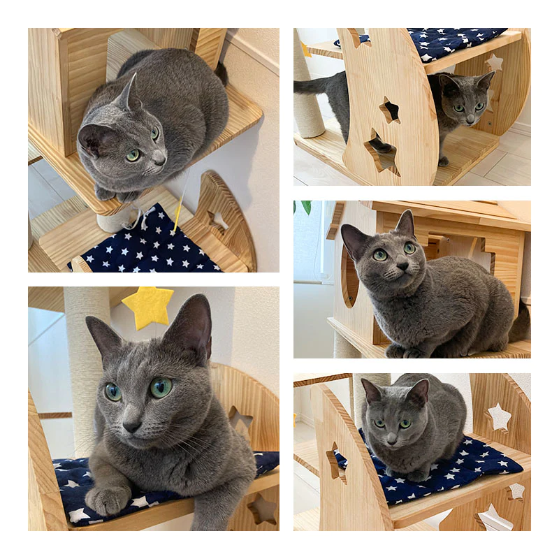 ねこぞく 木製 キャット ツインタワー XYY-1
