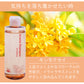 【タイムセール】【美容室専売】 ヴィ―ガン アロマシャンプー＆トリートメント セット (キンモクセイ) 240ml サイズ / 金木犀 サロン品質 動物性由来不使用のボタニカルシャンプー 美容室 EARTH