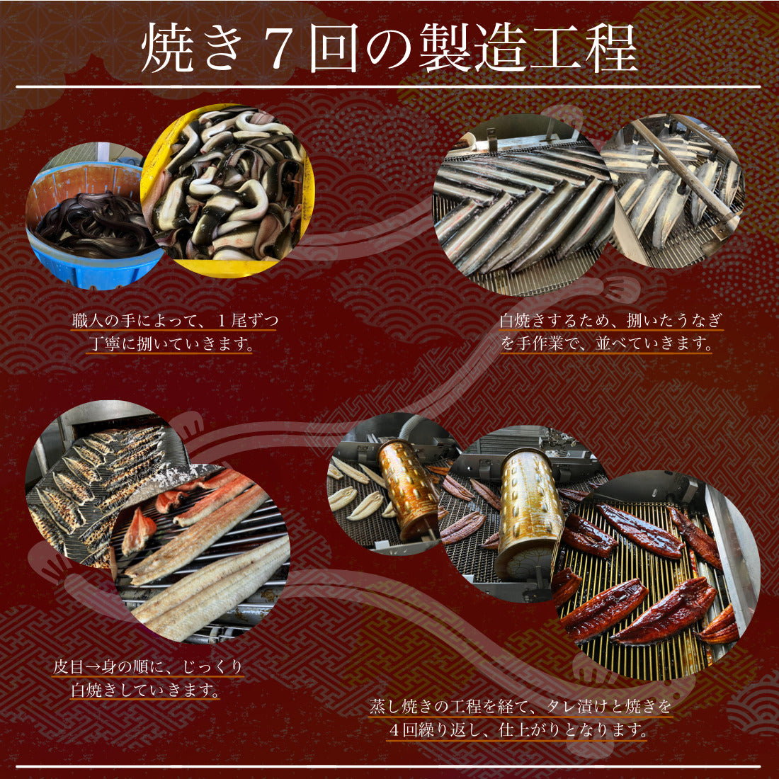 お中元ギフト 浜名湖 国産 うなぎ 蒲焼 無頭 大サイズ 約160g×1尾【ギフト対応可】冷凍 鰻 浜名湖産 浜名湖うなぎ 国産うなぎ うなぎ蒲焼 真空パック 中元 ギフト 夏ギフト 御中元 土用の丑【C配送：冷凍】