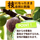 【超得ハイパーSALE】訳あり 割れいちじく 850g 【 いちじく ドライフルーツ 無添加 フルーツ 製菓 製パン 健康 おやつ 大容量 特価品 砂糖不使用 農薬不使用】K