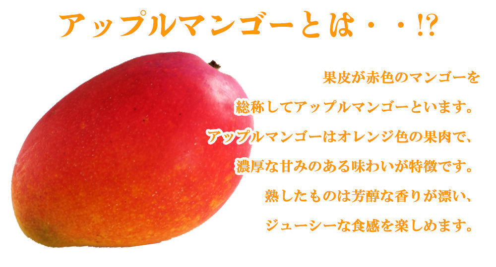【予約販売 7月20日より順次出荷】マンゴー 訳あり 1kg 2玉 送料無料 完熟マンゴー フルーツ くだもの 果物 家庭用 産地直送 鹿児島県産 ngs-000