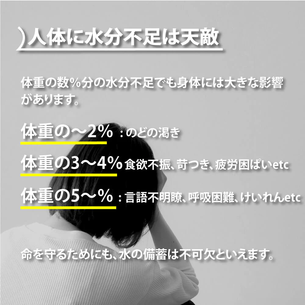 【15年保存水】ミネラルウォーター「カムイワッカ麗水2Lx6本」 賞味期限15年【ゲリラセール】