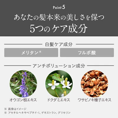 【5本セット】Le ment(ルメント)高濃度炭酸オイルクレンジング＆シャンプー　ブラック 炭酸シャンプー 頭皮ケア クレイシャンプー PPT系洗浄成分 アミノ酸系洗浄成分