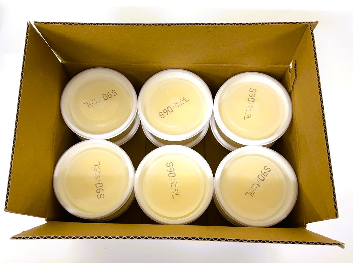 バニラアイスクリーム12個セット　（90ｍｌ×12ｐ）バニラ ギフト 送料無料 アイス　業務用 冷凍 　食べきり　お手軽 お取り寄せ お取り寄せグルメ 北海道と沖縄を除き 【送料無料】