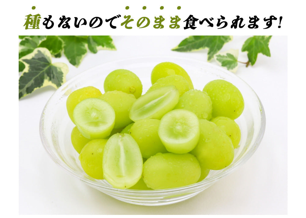 【予約販売 8月1日より順次出荷】シャインマスカット 1kg 1-2房前後 送料無料 ぶどう ブドウ 葡萄 フルーツ くだもの 果物 産地直送 鹿児島県産 ngs-001