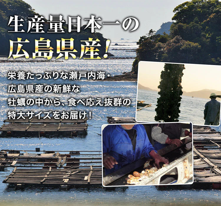 大粒2Lカキ 牡蠣 かき広島県産 約1kg 加熱用 業務用 メガ盛り カキフライ 鍋 バーベキュー BBQ 送料無料 冷凍便 お取り寄せグルメ 食品 ギフト【特産品・ご当地特集】